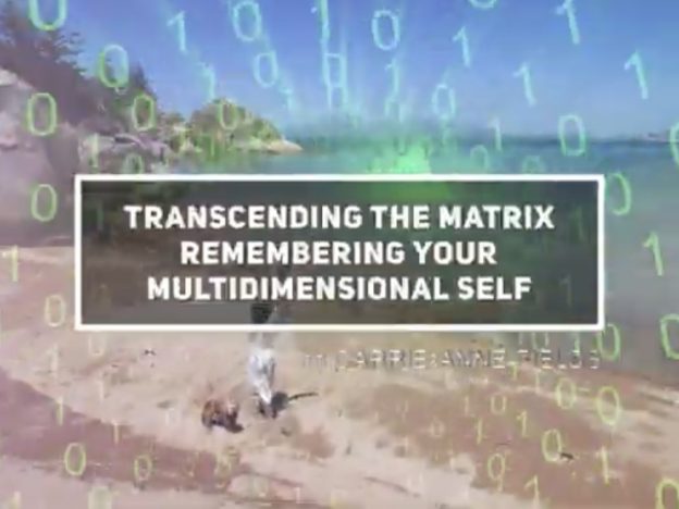 Transcending the Matrix Series 1 Box Set course image