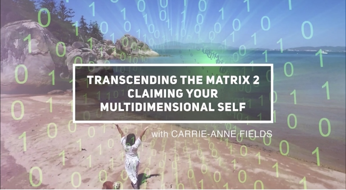 Transcending the Matrix Series 1 Box Set